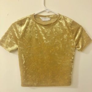 velvet crop top